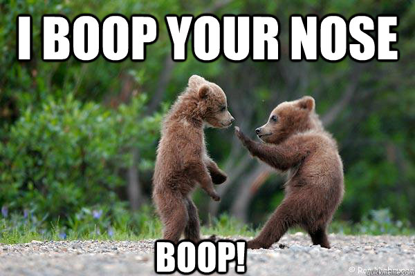 I Boop your nose boop!  bear boop