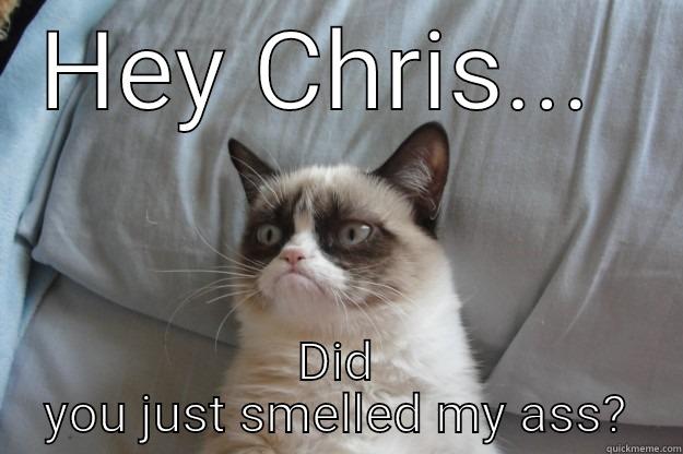 HEY CHRIS...  DID YOU JUST SMELLED MY ASS? Grumpy Cat