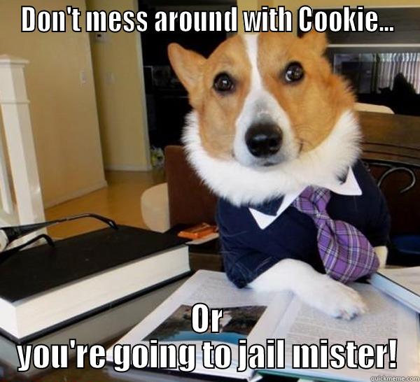 DON'T MESS AROUND WITH COOKIE... OR YOU'RE GOING TO JAIL MISTER! Lawyer Dog