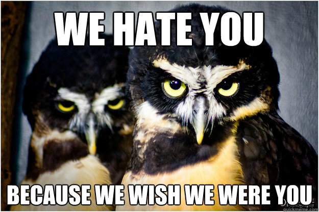 we hate you because we wish we were you - we hate you because we wish we were you  Honest Hater owls