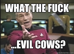 What the fuck ...evil cows?  Annoyed Picard