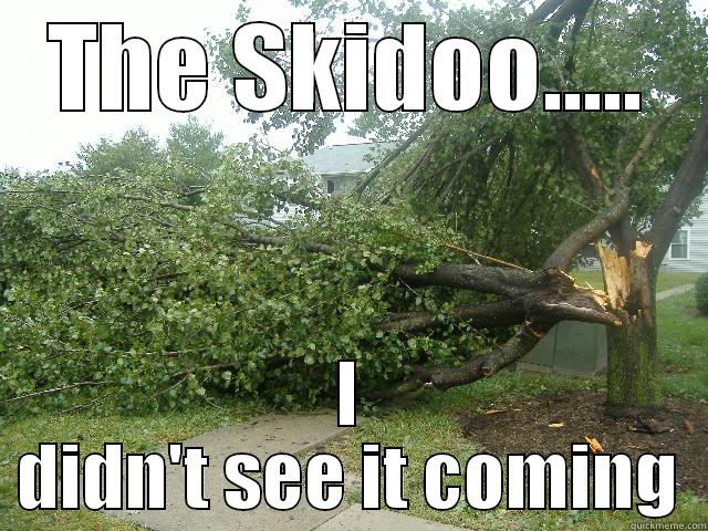 The skiddoo - THE SKIDOO..... I DIDN'T SEE IT COMING Misc