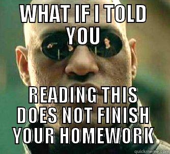 WHAT IF I TOLD YOU READING THIS DOES NOT FINISH YOUR HOMEWORK Matrix Morpheus