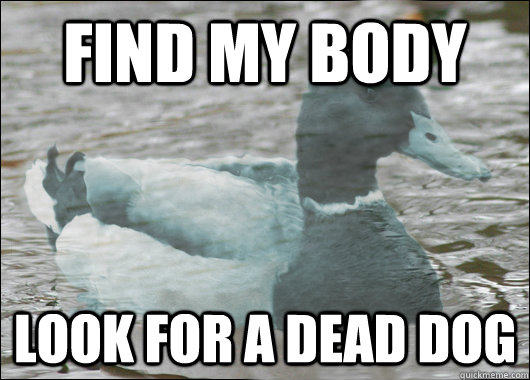 Find my body Look for a dead dog  