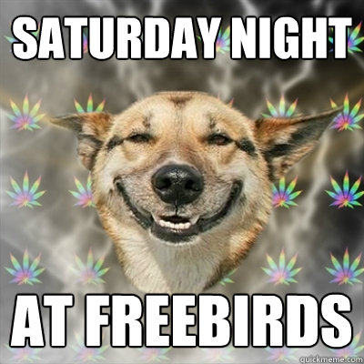 Saturday night at freebirds  Stoner Dog