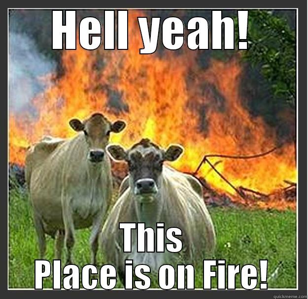 hell yeah - HELL YEAH! THIS PLACE IS ON FIRE! Evil cows