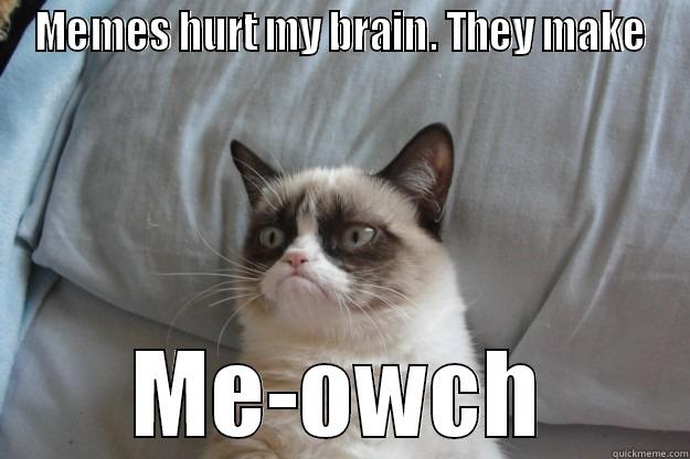 MEMES HURT MY BRAIN. THEY MAKE ME-OWCH Grumpy Cat