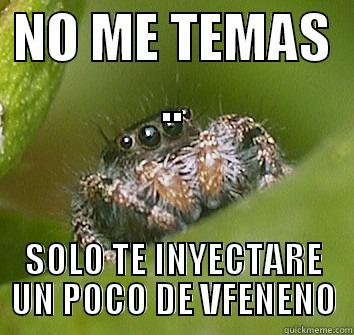 ARAÑA SARCASTICA - NO ME TEMAS .. SOLO TE INYECTARE UN POCO DE VFENENO Misunderstood Spider