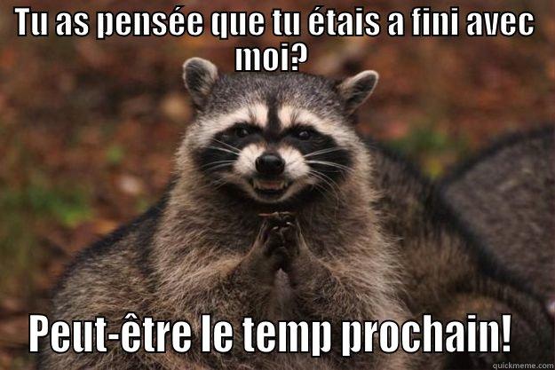 TU AS PENSÉE QUE TU ÉTAIS A FINI AVEC MOI?  PEUT-ÊTRE LE TEMP PROCHAIN!  Evil Plotting Raccoon