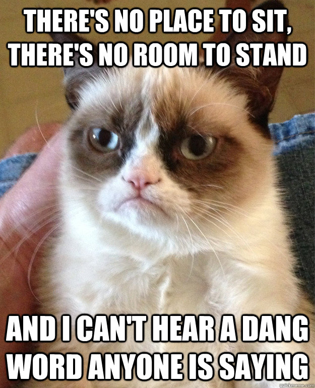 there's no place to sit, there's no room to stand and i can't hear a dang word anyone is saying - there's no place to sit, there's no room to stand and i can't hear a dang word anyone is saying  Grumpy Cat