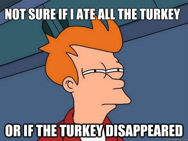 Not sure if i ate all the turkey Or if the turkey disappeared  Futurama Fry