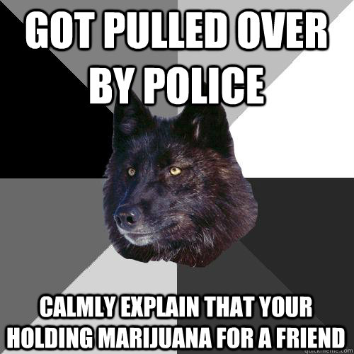 got pulled over by police calmly explain that your holding marijuana for a friend  Sanity Wolf