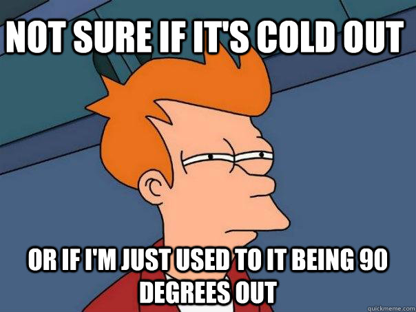 Not sure if it's cold out Or if I'm just used to it being 90 degrees out  Futurama Fry