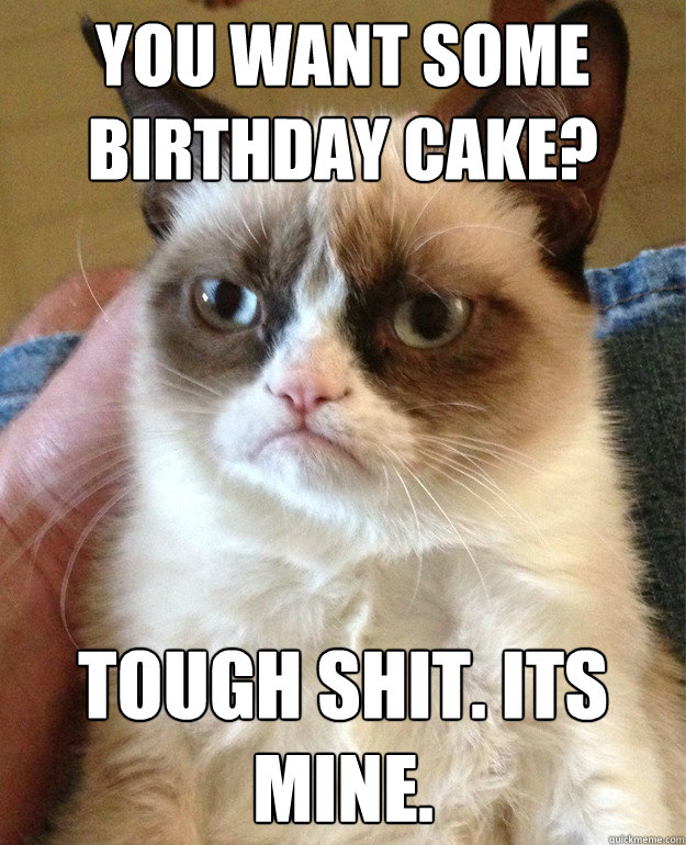 You want some birthday cake? Tough shit. Its mine.  Grumpy Cat