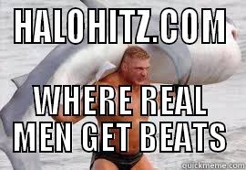 HALOHITZ.COM WHERE REAL MEN GET BEATS Misc