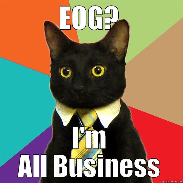 EOG? I'M ALL BUSINESS Business Cat