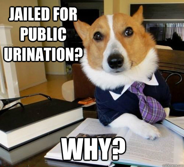 Jailed for Public Urination?  Why?   Lawyer Dog