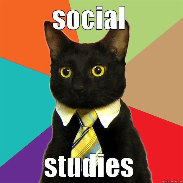 SOCIAL STUDIES Business Cat