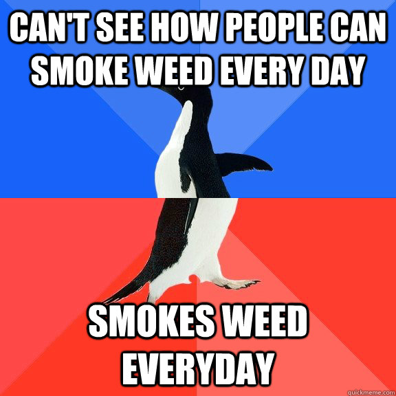 Can't see how people can smoke weed every day Smokes weed everyday - Can't see how people can smoke weed every day Smokes weed everyday  Socially Awkward Awesome Penguin