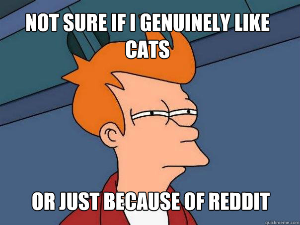 not sure if I genuinely like cats or just because of Reddit - not sure if I genuinely like cats or just because of Reddit  Futurama Fry