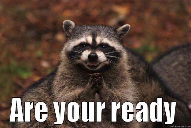 are you ready? -  ARE YOUR READY Evil Plotting Raccoon