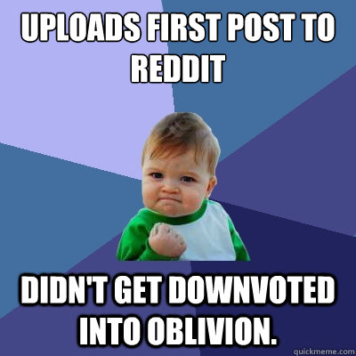 Uploads first post to reddit Didn't get downvoted into oblivion.  Success Kid