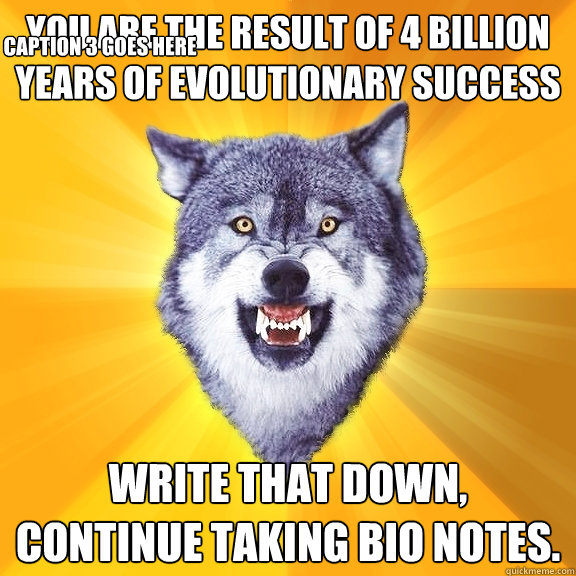 you are the result of 4 billion years of evolutionary success Write that down, continue taking bio notes. Caption 3 goes here  Courage Wolf