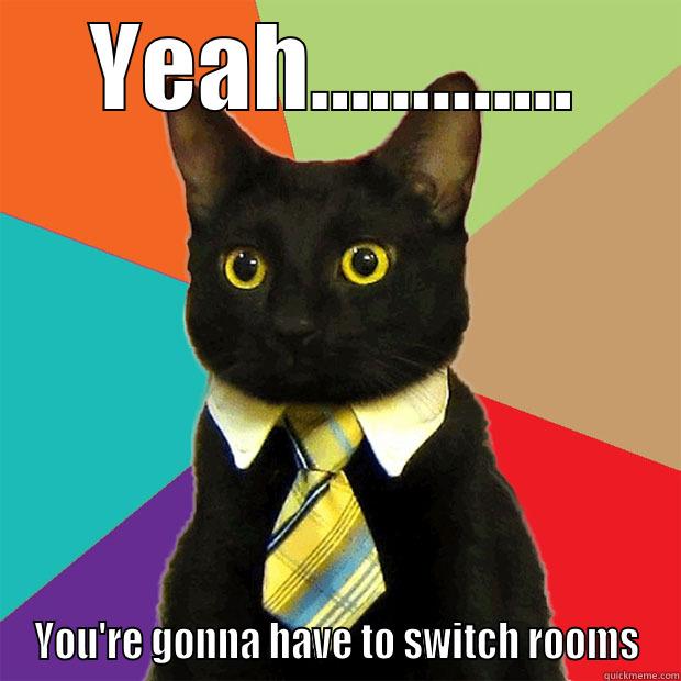 YEAH............. YOU'RE GONNA HAVE TO SWITCH ROOMS Business Cat