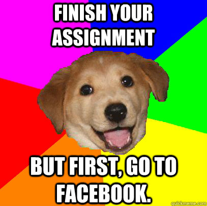 finish your assignment but first, go to facebook.  Advice Dog