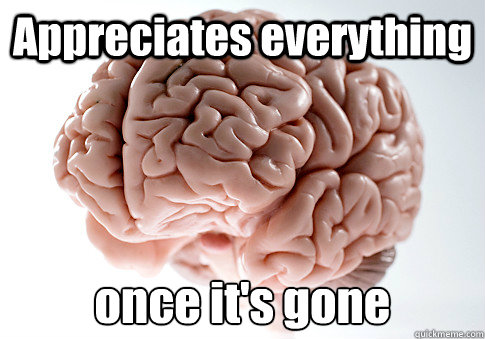 Appreciates everything once it's gone   Scumbag Brain