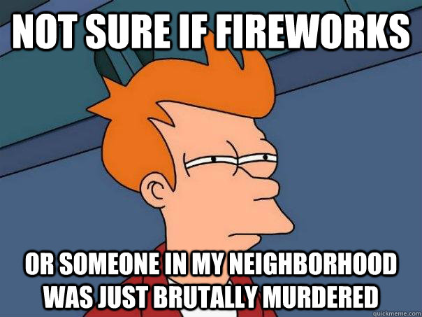 not sure if fireworks Or someone in my neighborhood was just brutally murdered  Futurama Fry