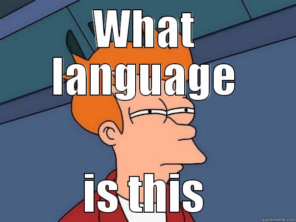 What language  - WHAT LANGUAGE IS THIS Futurama Fry