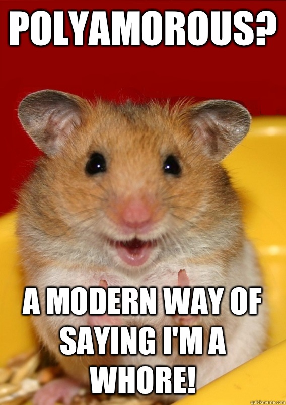 Polyamorous? A modern way of saying I'm a whore!  Rationalization Hamster