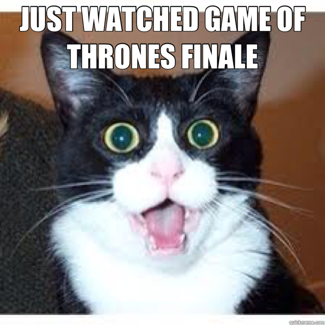 JUST WATCHED GAME OF THRONES FINALE   