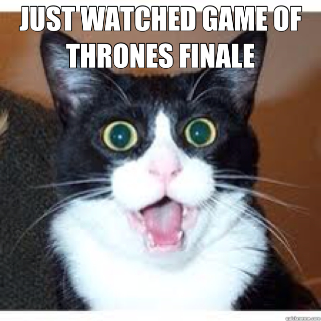 JUST WATCHED GAME OF THRONES FINALE   shocked cat