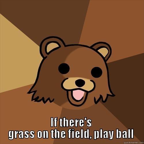  IF THERE'S GRASS ON THE FIELD, PLAY BALL Pedobear