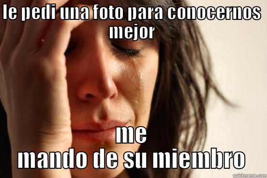 LE PEDI UNA FOTO PARA CONOCERNOS MEJOR ME MANDO DE SU MIEMBRO First World Problems