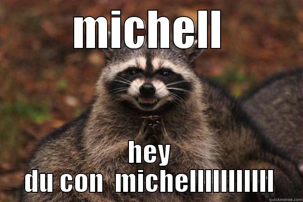 MICHELL HEY DU CON  MICHELLLLLLLLLLL Evil Plotting Raccoon