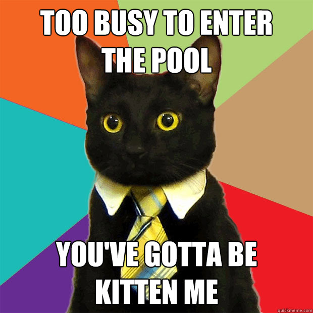 Too Busy to enter 
the pool you've gotta be 
kitten me  Business Cat