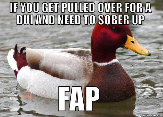 IF YOU GET PULLED OVER FOR A DUI AND NEED TO SOBER UP FAP Malicious Advice Mallard