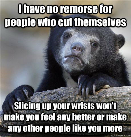 I have no remorse for people who cut themselves Slicing up your wrists won't make you feel any better or make any other people like you more - I have no remorse for people who cut themselves Slicing up your wrists won't make you feel any better or make any other people like you more  Confession Bear