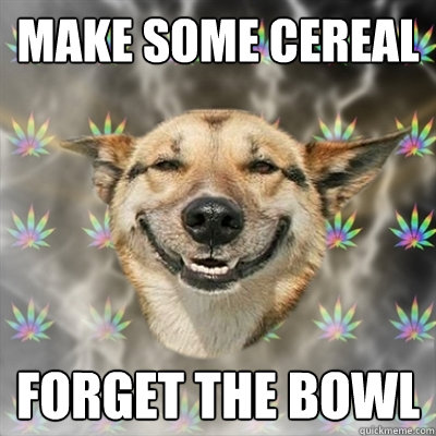 make some cereal forget the bowl  Stoner Dog