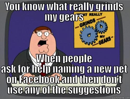 Pet names - YOU KNOW WHAT REALLY GRINDS MY GEARS WHEN PEOPLE ASK FOR HELP NAMING A NEW PET ON FACEBOOK AND THEN DON'T USE ANY OF THE SUGGESTIONS Grinds my gears