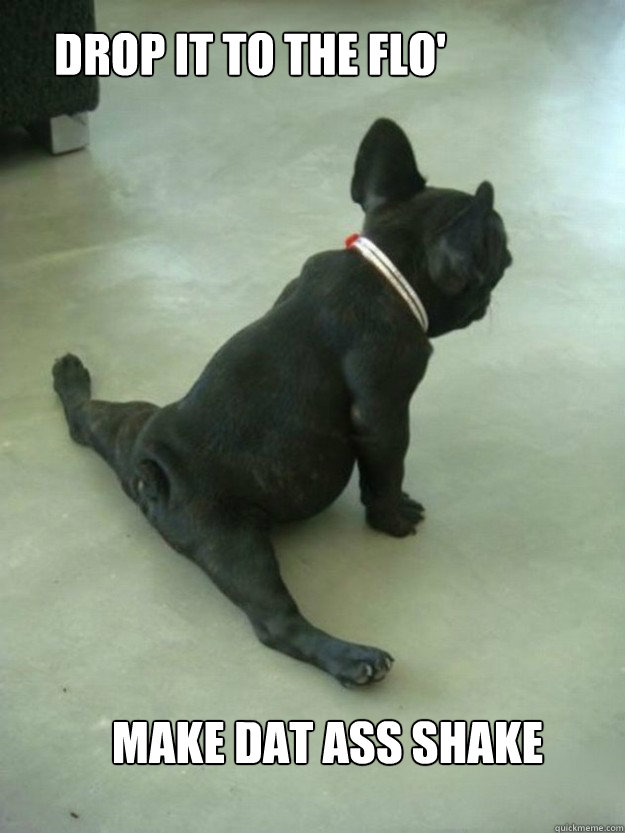 DROP IT TO THE FLO' MAKE DAT ASS SHAKE  flexible pug lol