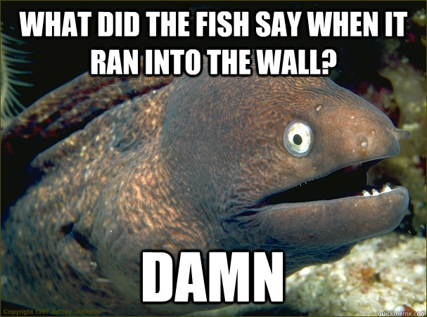 What did the fish say when it ran into the wall? Damn  Bad Joke Eel