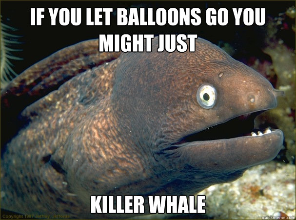 If you let balloons go you might just Killer whale - If you let balloons go you might just Killer whale  Bad Joke Eel