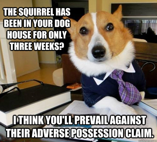 The squirrel has been in your dog house for only three weeks? I think you'll prevail against their adverse possession claim.  Lawyer Dog