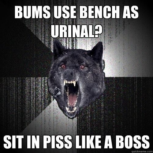 Bums use bench as urinal? sit in piss like a boss  Insanity Wolf