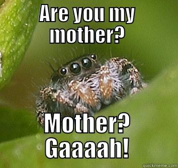 ARE YOU MY MOTHER? MOTHER? GAAAAH! Misunderstood Spider