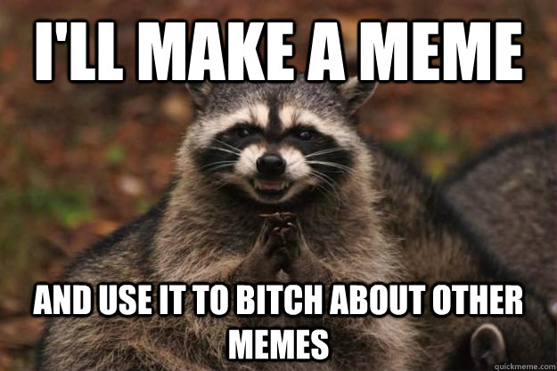 I'll make a meme  and use it to bitch about other memes  Evil Plotting Raccoon